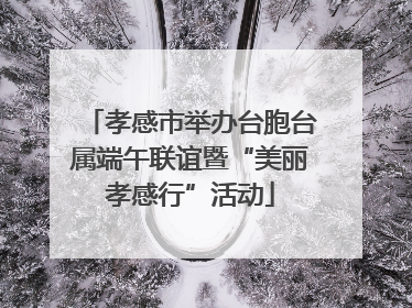 孝感市举办台胞台属端午联谊暨“美丽孝感行”活动